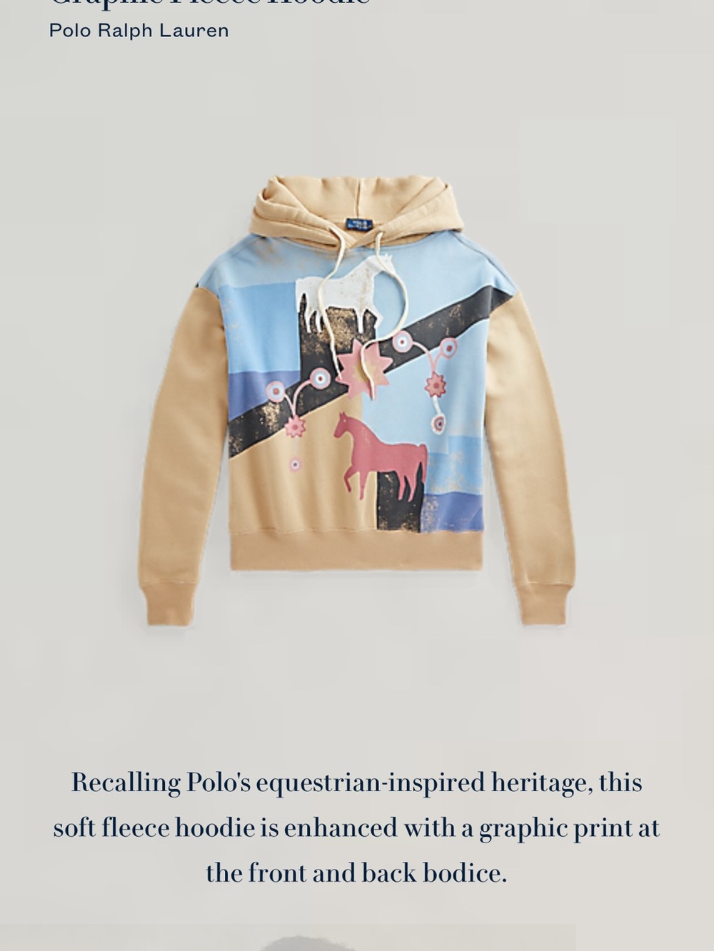Polo by Ralph Lauren Beige & Light Blue Graphic Hoodie Sweater - Picture 2 of 3